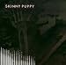 Anklicken zum Vergrößeren: Skinny Puppy - Remission (Audio CD)