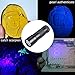 BOGZON 12 LED Ultraviolet Flashlight, Handheld Pets Urine & Stains Detector, UV Counterfeit Currency Detector, Scorpion Hunter & Finder, Powered by AAA Batteries (Not Included), Black