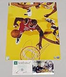 Dennis Rodman autographed Chicago Bulls 16x20 poster size photo (SSG)