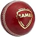 SG Seamer Leather Cricket Ball RS.324.00