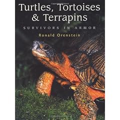 Turtles, Tortoises and Terrapins: Survivors in Armor