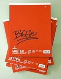 Canson Biggie Jumbo Sketch Pads Size 9 X 12 inch with 125 sheets