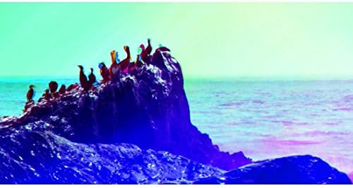 Multitude - Birds on a Rock Pacific Coast Big Sur California Surreal Fine Art Seascape Photography Print
