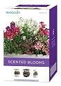 AeroGarden 6-Pod Seed Kit Scented Blooms Flowers