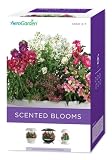 AeroGarden 6-Pod Seed Kit Scented Blooms Flowers