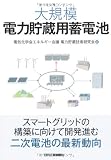 大規模電力貯蔵用蓄電池