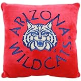 Arizona Wildcats Cardinal 15'' Square 3D Plush Pillow