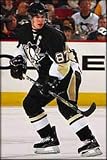 Pittsburgh Penguins Sidney Crosby Greatest Games NHL 250 Piece Player Puzzle