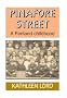 Pinafore Street: A Fenland Childhood (Boston, Lincolnshire)