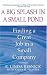 Books : A Big Splash in a Small Pond: Finding a Great Job in a Small Company