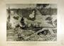 1900 Cronje Modder Majuba Ladysmith Cavalry Boer War