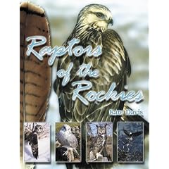 Raptors of the Rockies: Biology of the Birds of Prey and Species Accounts of the Raptors of the Rockies