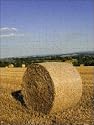 Jigsaw of Hay bales, seen from the Cotswolds Way footpath from Robert Harding