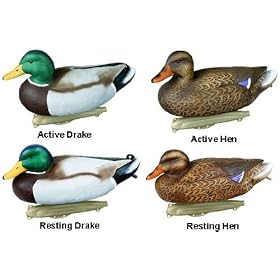 Click here to buy Flambeau Premium Magnum Mallard Duck Decoy.