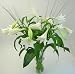 Flowers Longiflorum lilies