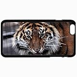 Fashion Unique Design Protective Cellphone Back Cover Case For iPhone 6 Case Tiger View Evil Tense Snout Mustache Black