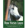 How Horses Learn