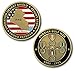Persian Gulf War / Desert Storm Veteran Challenge Coin