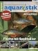 aquaristik [Jahresabo]