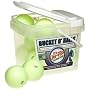 Jugs Lite-Flite Softballs with Bucket
