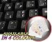 PORTUGUESE KEYBOARD STICKERS WITH WHITE LETTERING ON TRANSPARENT BACKGROUND