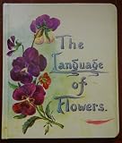 The Language