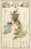 1854 HUGE PALEONTOLOGY & GEOLOGY MAP ENGLAND IRELAND UK