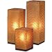 Medium Wave Table Lamp