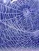 Wallmonkeys Peel and Stick Wall Decals - Netzwerk 4 - Removable Graphic