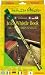 Waltons Irish Tin Whistle Value Pack