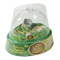 Insect Lore Ladybug Land
