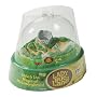 Insect Lore Ladybug Land