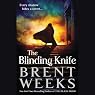 The Blinding Knife: Black Prism, Book 2