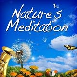 Sounds of Nature White Noise for Mindfulness Nature's Meditation