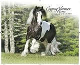 Gypsy Vanner Horse 2013 Wall Calendar
