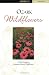 book cover unavailable