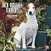 Jack Russell Terriers 2010 Wall