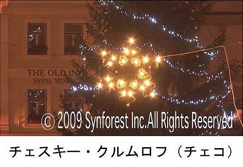 世界遺産のクリスマス 欧州3国・映像と音楽の旅 Christmas in the World Heritage [DVD]