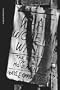 What Women Want: The Ideas of the Movement (Harvard Paperbacks)