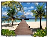 MALEDIVEN (12222)- 3D Poster Gerahmt Lentikular Effekt Bild - Strand Palmen Meer S�dsee Sonne Insel Himmel Wolken Br�cke - Gesamtgr��e 70 x 50 cm - Rahmen in Schwarz - Echt 3D-Qualit�t - Deutsches Qualit�tsprodukt