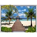 MALEDIVEN (12222)- 3D Poster Gerahmt Lentikular Effekt Bild - Strand Palmen Meer S�dsee Sonne Insel Himmel Wolken Br�cke - Gesamtgr��e 70 x 50 cm - Rahmen in Schwarz - Echt 3D-Qualit�t - Deutsches Qualit�tsprodukt
