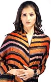 Multi Vibrant Fantastic Stripe Super Soft Viscose Pashmina Black Shawl Stole Wrap (76x21)