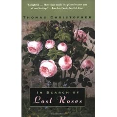 In Search of Lost Roses