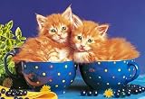 Eigenschaften Castorland / PUZZLE 500 TEILE KATZEN in der Tasse KATZE TIER TIERE