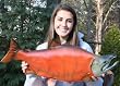 Giant Taxidermy Quality Sockeye Salmon Fish Wall Mount