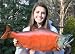 Giant Taxidermy Quality Sockeye Salmon Fish Wall Mount