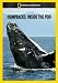 Humpbacks: Inside the Pod