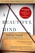 Image of A Beautiful Mind