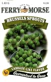Ferry-Morse Seeds 1237 Brussels Sprouts - Catskill 1.4 Gram Packet