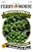 Ferry-Morse Seeds 1237 Brussels Sprouts - Catskill 1.4 Gram Packet